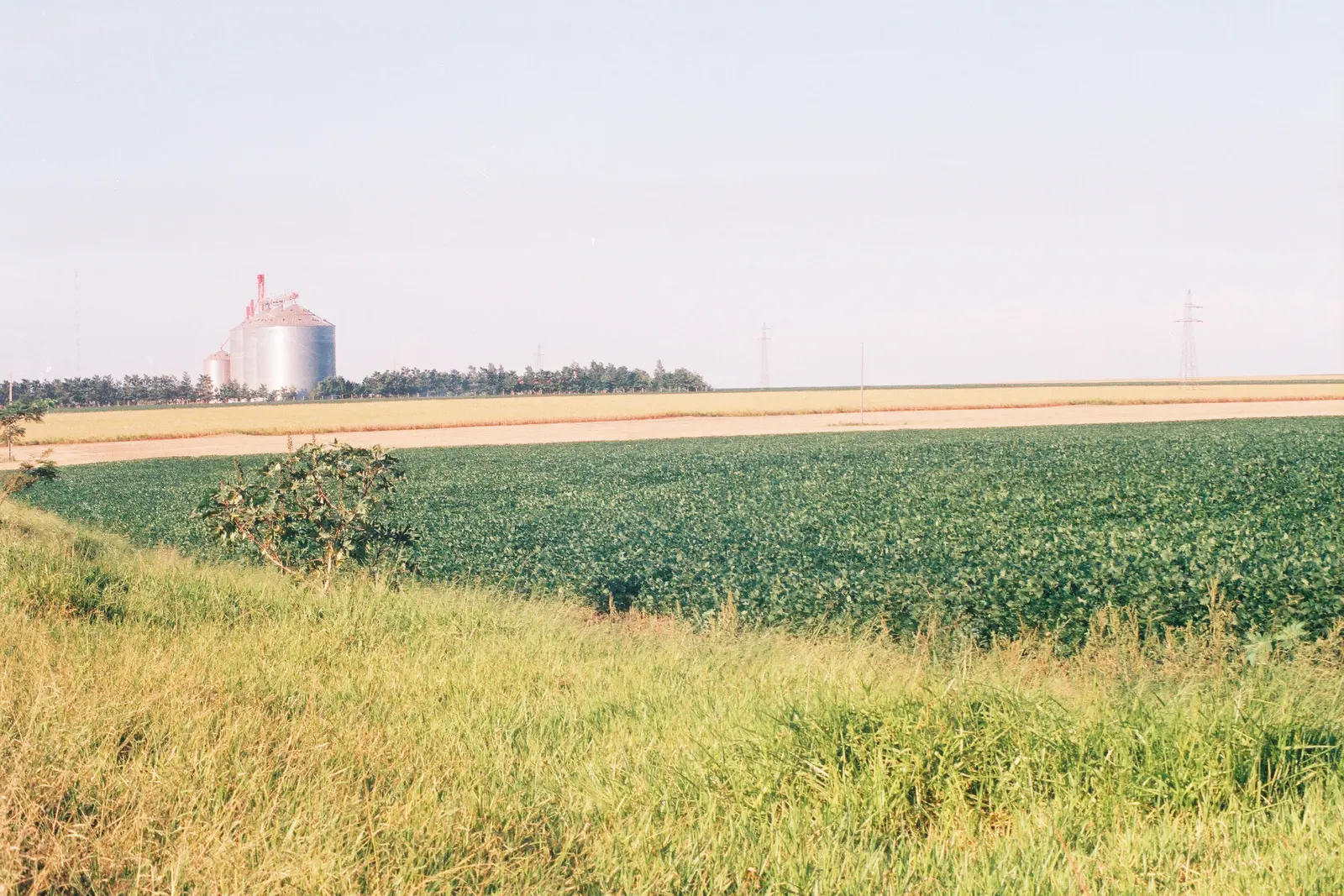 Silos und Sojafelder im Osten Paraguays: Die Landwirtschaft ist einer der wichtigsten Arbeitgeber beim Arbeiten in Paraguay
