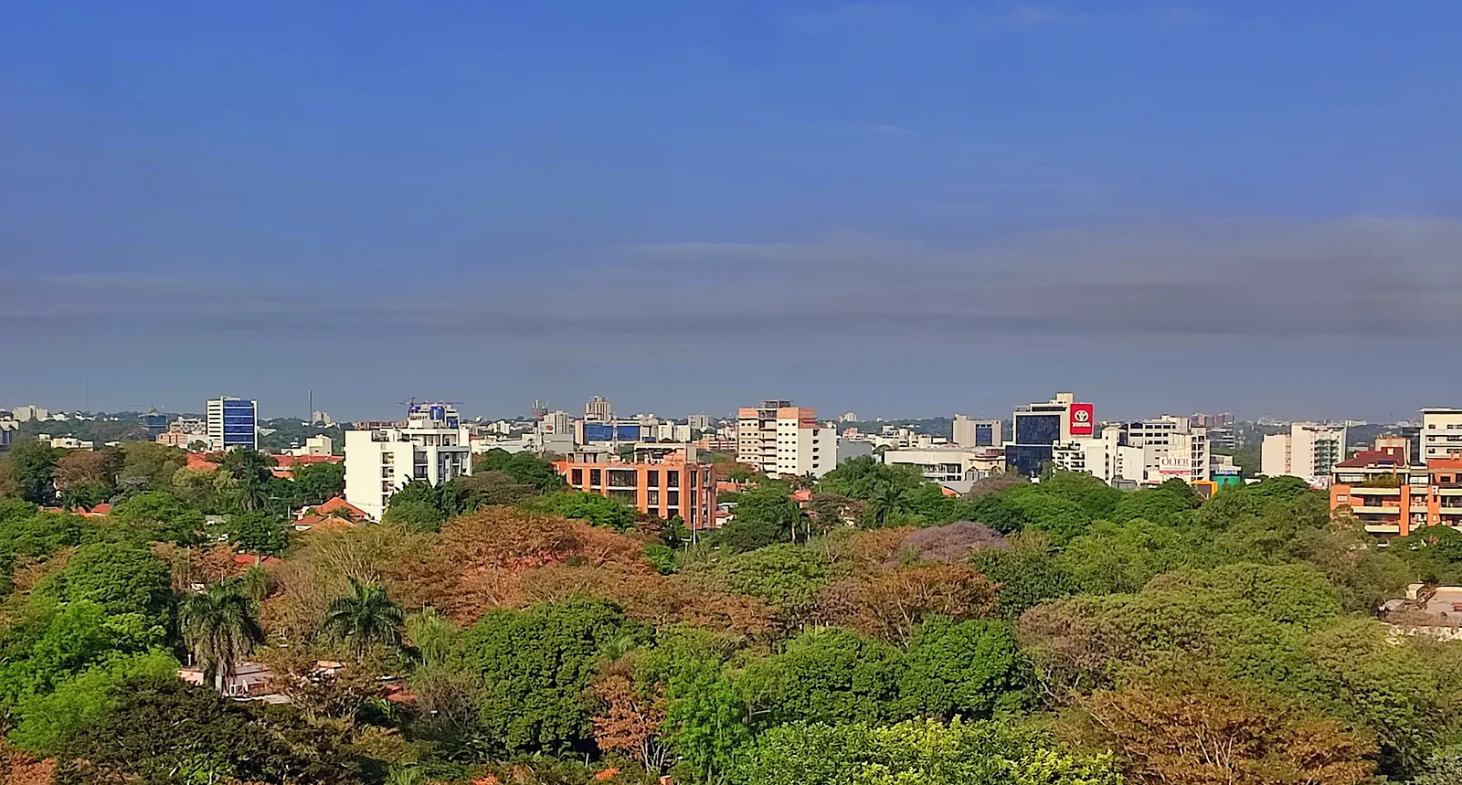 Villa Morra in Asunción 2026: Wohnen, Mieten, Expat-Leben