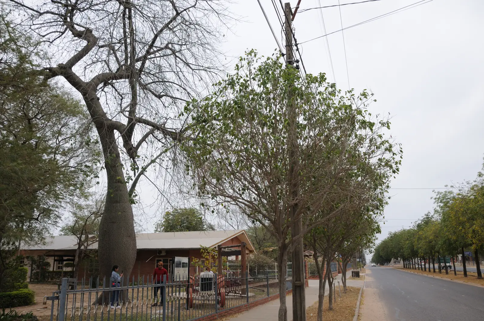 Straße in Filadelfia im Chaco, dem Zentrum der Mennonitenkolonie Fernheim in Paraguay